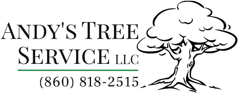 ac11bedc d179 4969 9bdd f9c93bc8084c