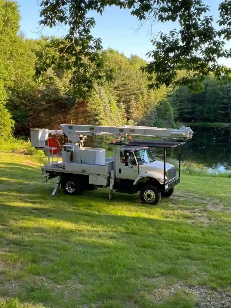 andys tree service llc bolton ct 2025 12 01T15 47 39.890808Z 71506