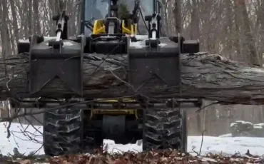 andys tree service llc bolton ct 2025 12 01T15 16 24.118069Z 9090