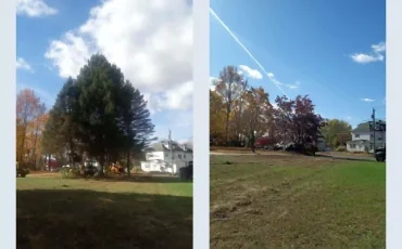 andys tree service llc bolton ct 2025 12 01T15 16 24.121261Z 20590
