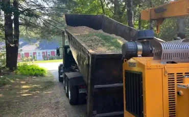 andys tree service llc bolton ct 2025 12 01T15 16 26.367372Z 69608