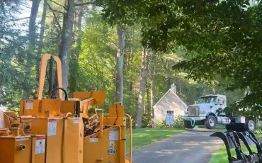 andys tree service llc bolton ct 2025 12 01T15 16 26.694064Z 44593