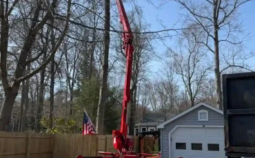 andys tree service llc bolton ct 2025 12 01T15 16 33.934163Z 11899